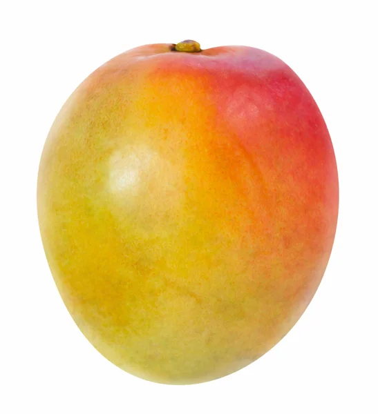 Mango — Stock Photo, Image