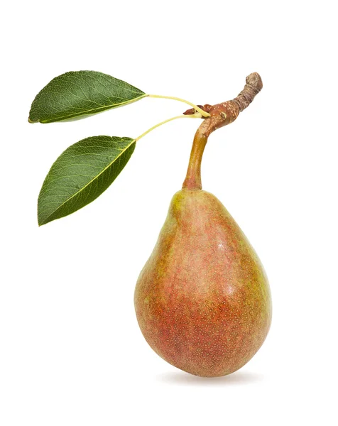 Pear — Stock Photo, Image