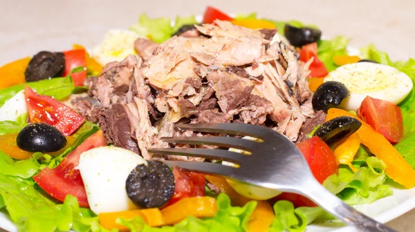 Heerlijke salade met tonijn, tomaten, eieren, olijven en paprika 's. — Stockfoto