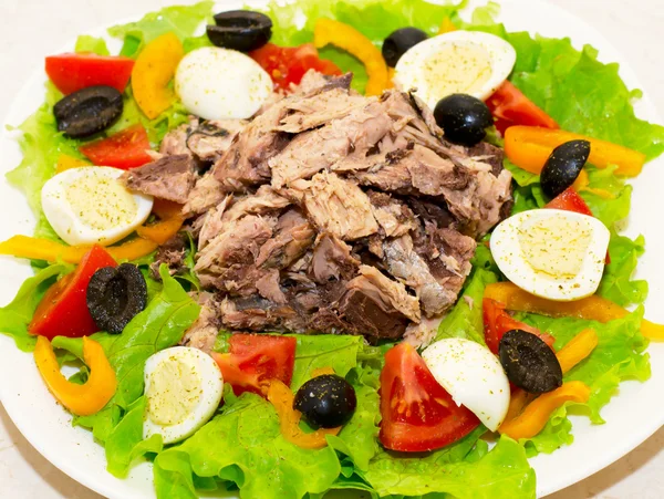 Ensalada deliciosa con atún, tomate, huevos, aceitunas y pimientos . — Foto de Stock