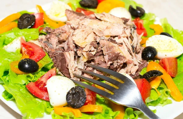 Lahodný salát s tuňákem, rajčaty, vejce, olivy a papriky. — Stock fotografie