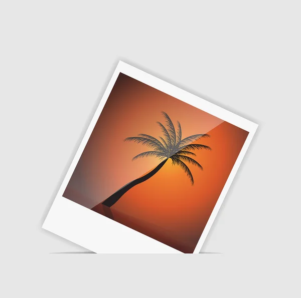 Vektor ögonblick foto med palm träd vektor illustration — Stock vektor