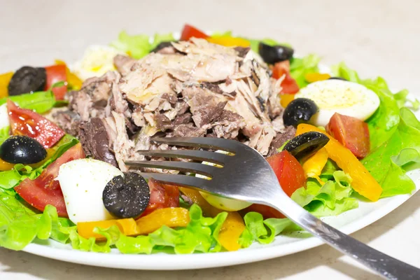 Insalata di tonno, olive, pomodori, lattuga, uova e olio d'oliva — Foto Stock