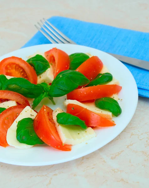 Salada Caprese — Fotografia de Stock