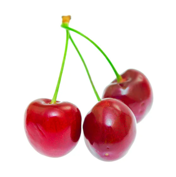 Sweet cherry bakgrund isolerad på vit bakgrund — Stockfoto