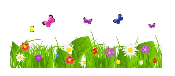 Blomma och gräs Gränser inställda. vektor illustration — Stock vektor