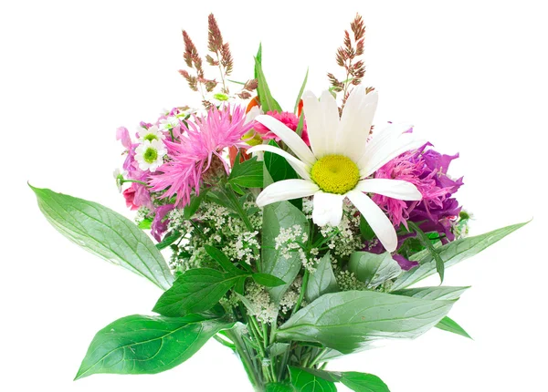 Kolorowe kwiaty bukiet — Zdjęcie stockowe