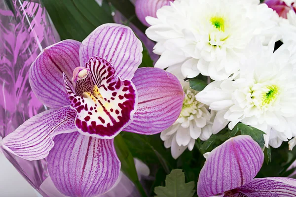 Buquê de orquídeas e crisântemos isolados em backgrou branco — Fotografia de Stock