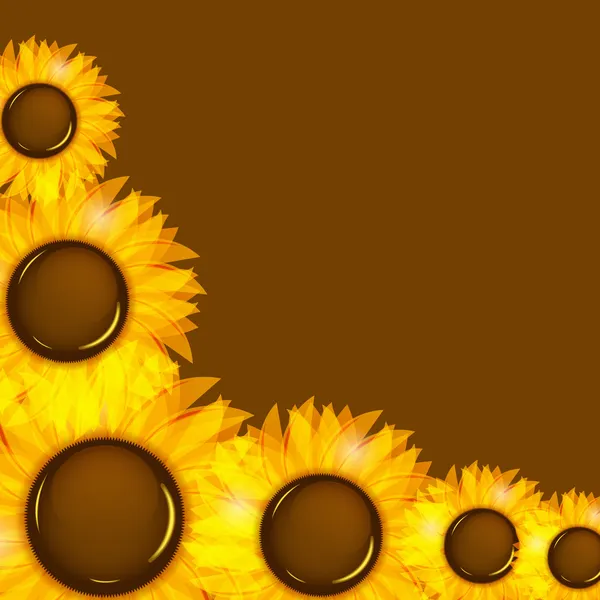 Ilustrasi vektor bunga matahari latar belakang vektor - Stok Vektor