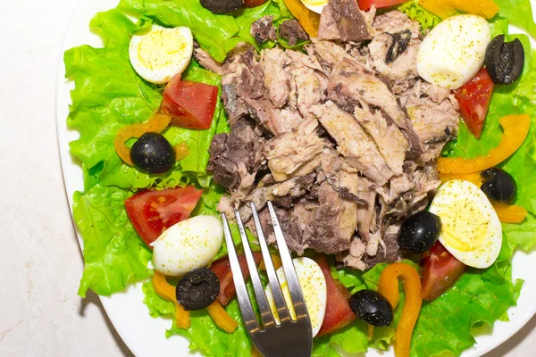 Heerlijke salade met tonijn, tomaten, eieren, olijven en paprika 's — Stockfoto