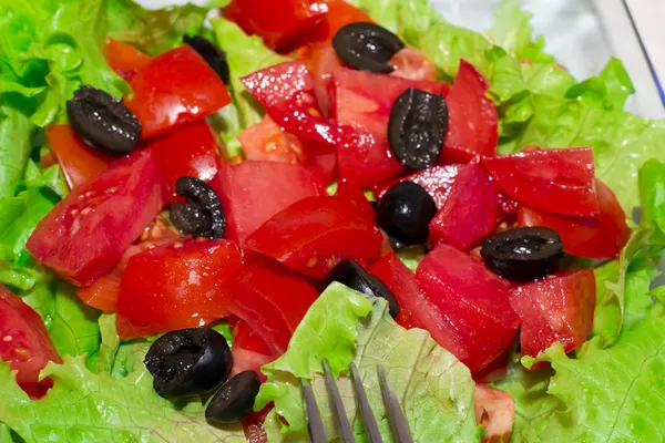 Tomatensalade — Stockfoto