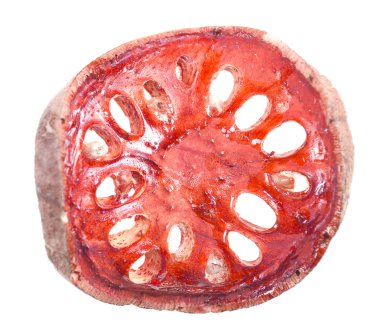 Beyaz arka plan üzerinde izole matum