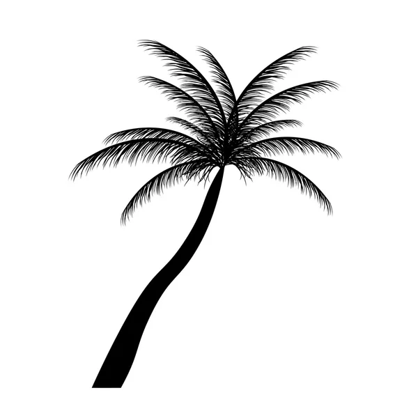 Silhouette of palm trees. Vector illustration. — Stock Vector