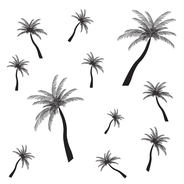 Silueta de palma. Ilustración vectorial. EPS 10 . — Vector de stock