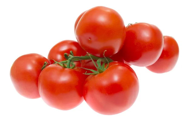 Rama de tomates aislados sobre fondo blanco —  Fotos de Stock