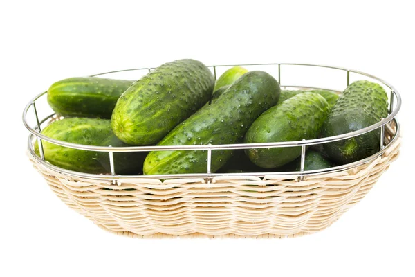 Fresh green cucumber in a wicker plate, isolated on white backgr — Stock Photo, Image