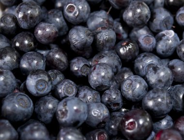 yaban mersini arka plan