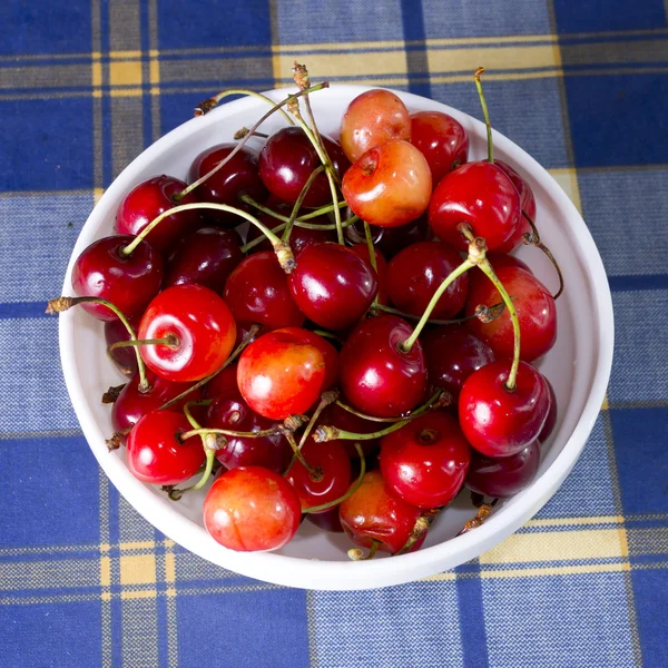 Kersen in schaal — Stockfoto