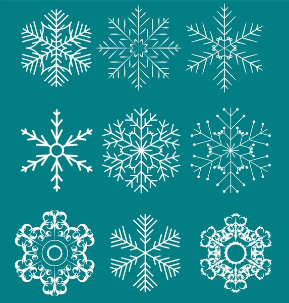Set of beautiful snowflakes vector illustration — Stock Vector