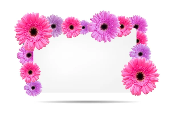 Gerbera flores com modelo de cartão branco — Fotografia de Stock