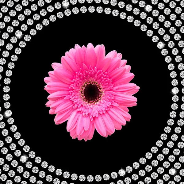 Gerberas y diamantes — Foto de Stock