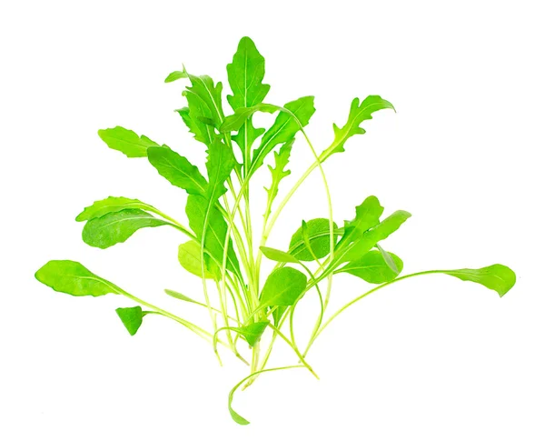 Green fresh rukola isolated on white background — Stock Photo, Image
