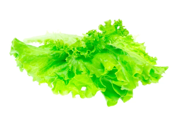 Lechuga verde aislada sobre fondo blanco — Foto de Stock