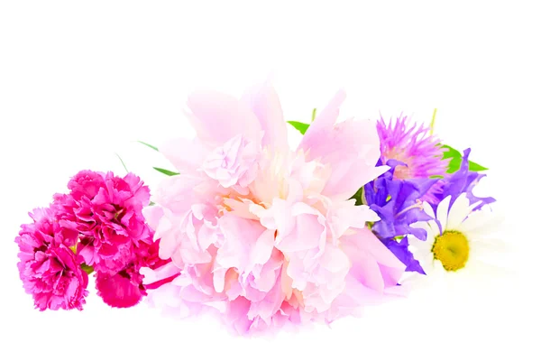 A bouquet of peony, carnation and clover isolated on white backg — Stock Photo, Image