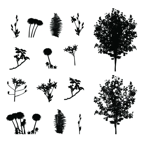 Ensemble d'éléments végétaux, arbres et feuillages Silhouette vectorielle Illustrat — Image vectorielle