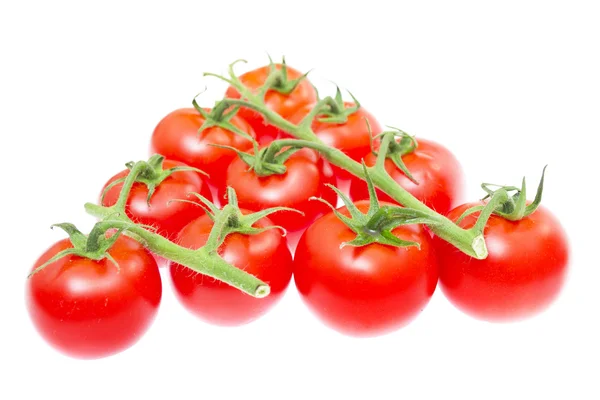 The branch of cherry tomatoes — Stock Photo, Image