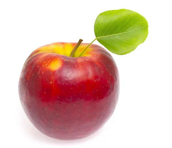 Manzana roja madura aislada sobre el fondo blanco . —  Fotos de Stock