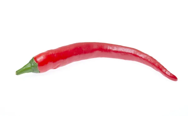 Färska färgglada hot chili peppar på vit — Stockfoto