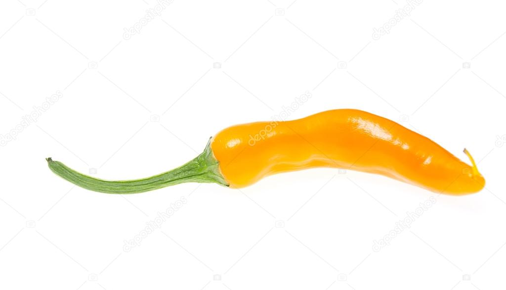 Fresh colorful hot chili pepper on white