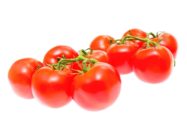 Beyaz arka plan üzerinde izole domates Şubesi — Stok fotoğraf