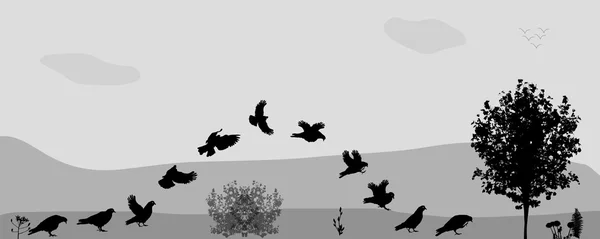 Ptáci létají v přírodě. Vektorová ilustrace. — Stockový vektor