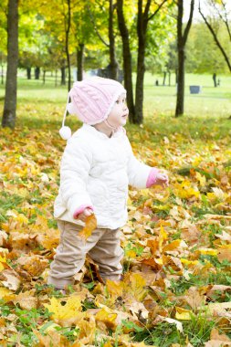 bir çocuğun doğasına Güz.
