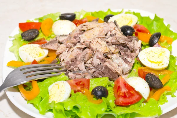 Heerlijke salade met tonijn, tomaten, eieren, olijven en paprika 's — Stockfoto