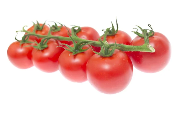 Ветвь помидоров черри — стоковое фото