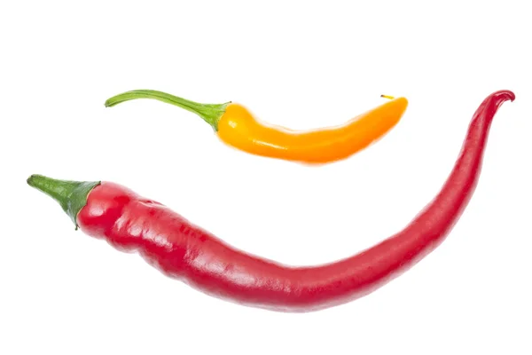 Färska färgglada hot chili peppar på vit — Stockfoto