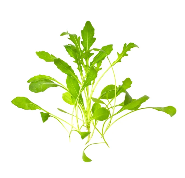 Green Fresh Rukola Isolated on White Background — Stock Photo, Image