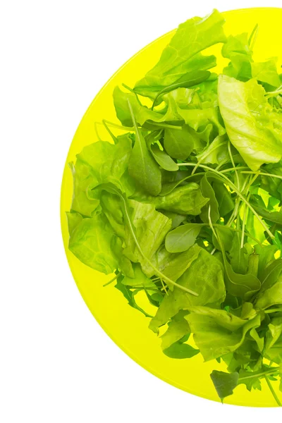 Groene zomer salade op plaat — Stockfoto