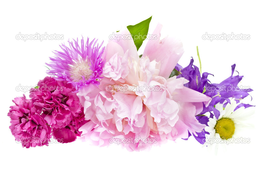 bouquet di fiori colorati, isolato su sfondo bianco — Foto ...