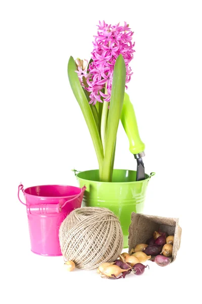 Planting Flowers. Bucket, Shovel, Seeds, Dlay Isolated on White — Stock Photo, Image