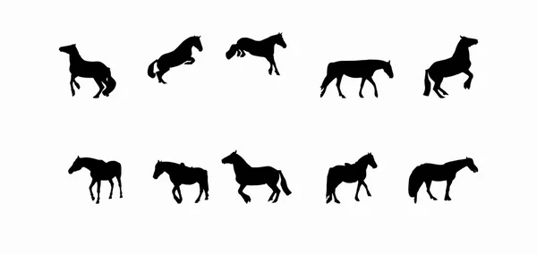 Carreras de caballos, lúpulos, galopos aislados sobre fondo blanco — Vector de stock