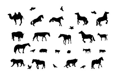 silüeti yabani ve evcil hayvan, kuş. siyah & beyaz.