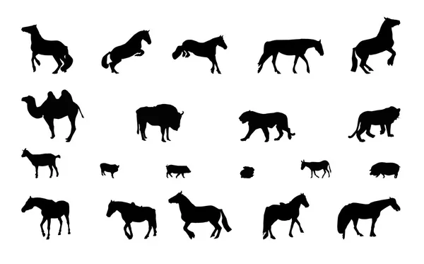 Silueta divokých a domácích zvířat. černá & bílá. — Stockový vektor