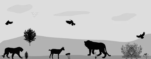 Animales salvajes merodeando. Ilustración vectorial . — Archivo Imágenes Vectoriales