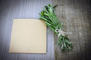 Rosemary bir ahşap tahta arka plan üzerinde bağlı. kopyalama alanı.