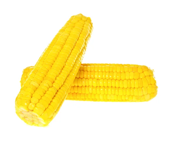 Maïs jaune mûr isolé sur fond blanc — Photo