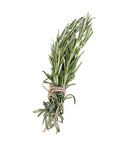 Fresh Green Rosemary Isolated on White Background Stock Picture